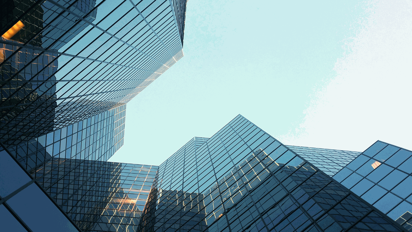 Odoo • Image and Text